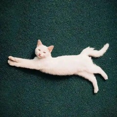 有意义的微信号ID（独一无二特别的微信号 ）