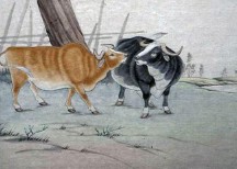 1985年属什么生肖（1985年属什么生肖的最佳配偶）