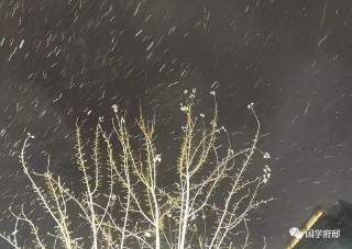 冬月是几月农历几月份（农历冬月是什么 ）