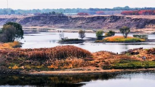 心平气和的意思解释（心平气和是形容什么的 ）