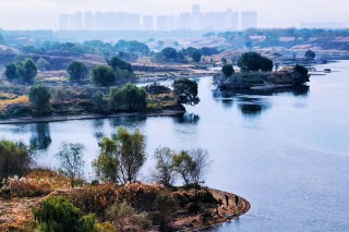 心平气和的意思解释（心平气和是形容什么的 ）