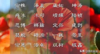 好听稀少的男孩名字简单（民国那些惊艳的名字 ）