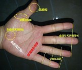 手纹线图解大全女（什么叫二婚线 ）