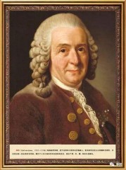 蛤蜊的读音和释义（蛤蜊的读音是什么）