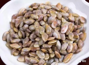 蛤蜊的读音和释义（蛤蜊的读音是什么）