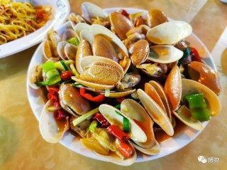 蛤蜊的读音和释义（蛤蜊的读音是什么）