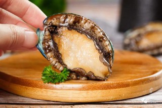 蛤蜊的读音和释义（蛤蜊的读音是什么）