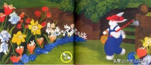 兔子的英文故事（兔子的英文怎么读）