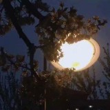 伤感让人看了心酸想哭的网名（心酸到泪崩的扎心网名 ）