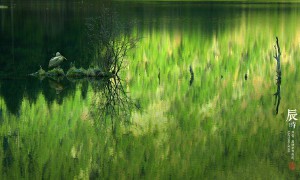 丑时生的男孩子命运如何 （丑时是几点到几点钟的）
