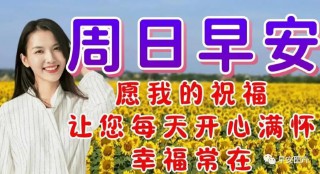 早上问候语简短（早安心语每日一语 ）