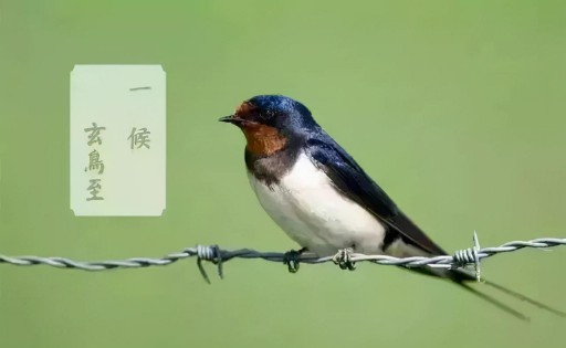 春分的节气时间是什么时候 （立春节气的气候特点 ）