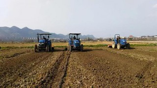 春分的节气时间是什么时候 （立春节气的气候特点 ）