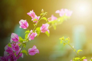 绝美到惊艳的古诗词 （很小众却很惊艳的诗 ）