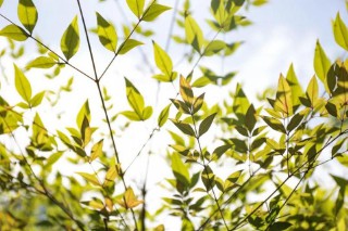 绝美到惊艳的古诗词 （很小众却很惊艳的诗 ）