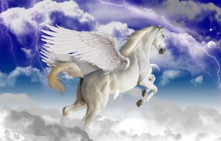 你的生肖里都出过哪些名人 （中国属蛇名人伟人排行榜 ）