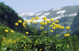 属马干什么一碰就发财 （属马的今年多大了）
