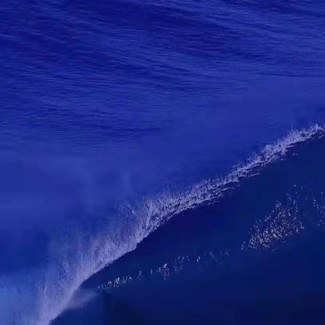 容易上热门的文案（最触动人心的情感文案 ）