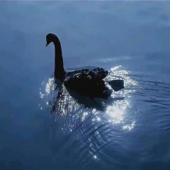 容易上热门的文案（最触动人心的情感文案 ）