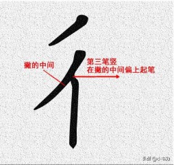 双人旁的字取名（双人旁的由来和意义）