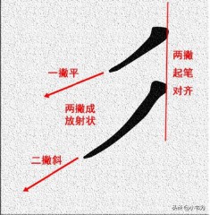 双人旁的字取名（双人旁的由来和意义）