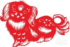 属狗是哪年出生的（属狗人的五个贵人 ）