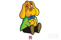 属狗是哪年出生的（属狗人的五个贵人 ）