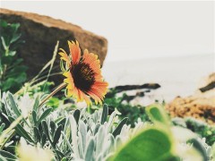 很走心的干净短句（ 高端有品味的句子）