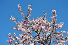 很走心的干净短句（ 高端有品味的句子）