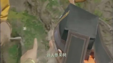 生肖配对是什么（十二生肖最配对的生肖 ）