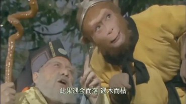 生肖配对是什么（十二生肖最配对的生肖 ）