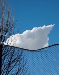 有创意的群名称（三五个好友微信群名字 ）