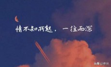 莫衷一是的意思（莫衷一是的意思及用法）