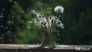 有趣的个性签名（ 心态好格局大的个性签名）