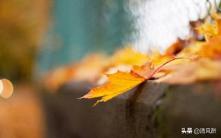 有趣的个性签名（ 心态好格局大的个性签名）