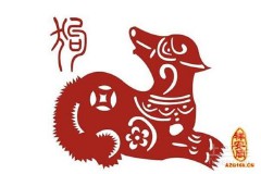 属狗的今年多大年龄（82年狗40岁后十年大运运程）