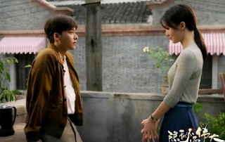 谍战剧排名前10名评分最高（ 评价最高的谍战剧电视剧 ）