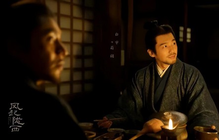 谍战剧排名前10名评分最高（ 评价最高的谍战剧电视剧 ）