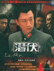 谍战剧排名前10名评分最高（ 评价最高的谍战剧电视剧 ）