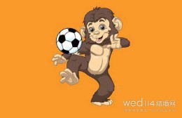 猴和什么属相最配婚姻（ 属猴的配对属相婚配表 ）