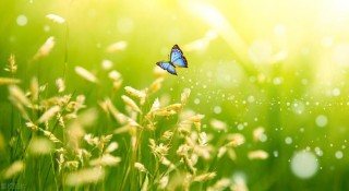 美不胜收的意思解释（ 美不胜收的意思是啥意思 ）