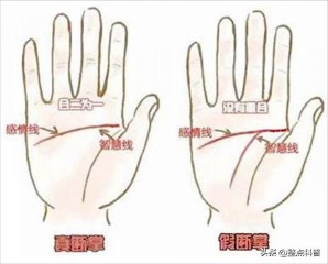 断掌纹的男人好不好（ 断掌的女人很可怕 ）