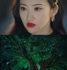 omega是什么意思网络用语小说里（ 女alpha怎么标记女omega ）