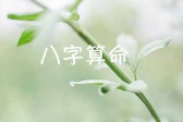 生辰八字算命免费（ 生辰八字算姻缘免费 ）