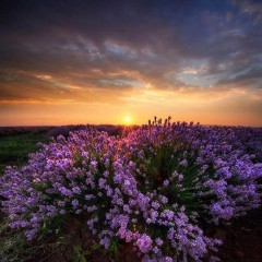 说说心情短语人生感悟生活现实（ 非常现实走心的句子 ）