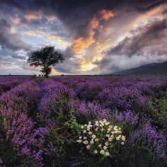 说说心情短语人生感悟生活现实（ 非常现实走心的句子 ）