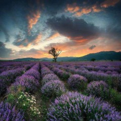 说说心情短语人生感悟生活现实（ 非常现实走心的句子 ）