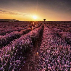 说说心情短语人生感悟生活现实（ 非常现实走心的句子 ）