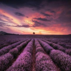 说说心情短语人生感悟生活现实（ 非常现实走心的句子 ）