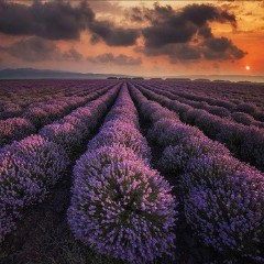 说说心情短语人生感悟生活现实（ 非常现实走心的句子 ）